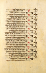 Ha-Goyim.