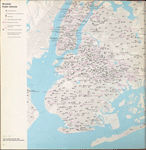 Brooklyn public schools