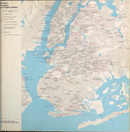 Brooklyn Hospitals and Health Facilities