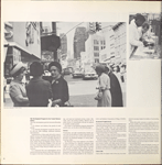 Downtown Brooklyn, Fort Greene, Clinton Hill. (cont.)