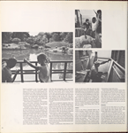 Crown Heights, Prospect heights, Children's Museum, Ebbets Field, Wingate, Lefferts Gardens. (cont.)