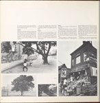 Canarsie, Paerdegat Basin. (cont.)