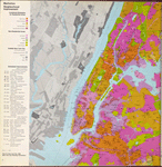 Manhattan neighborhood improvement