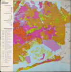 Queens neighborhood improvement