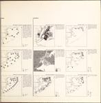 History and Population