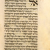 Tefen be-Inui ve-Dohak