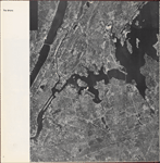 The Bronx