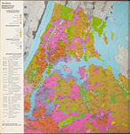 The Bronx neighborhood improvement