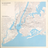 New York City Government