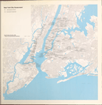 New York City Government