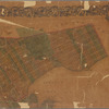 Map of the City of Brooklyn as consolidated by an act of the legislature of the State of New York