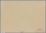 Map of the City of Brooklyn as consolidated by an act of the legislature of the State of New York