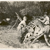 Summer vacation camp, 1924 : close up of scouts building a shelter.