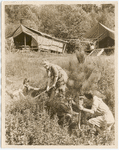 Girl scouts planting trees.