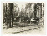 Fishing bridge, mountain camp.