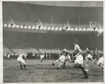 N.Y. Nationals and New Bedford Whalers at Polo Grounds, N.Y.