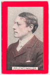 Mr. Lewis Waller.