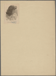 Miss Mabel Stephenson