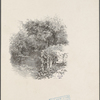 Scene on grounds of Vailima. Stevenson