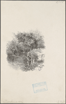 Scene on grounds of Vailima. Stevenson