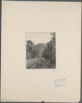 Open area surrounded by trees with mountain in background