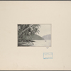 [Tropical shore with mountains in background.]