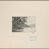 Tropical shore with mountains in background