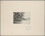 Tropical shore with mountains in background