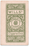Flossie Wilkinson.