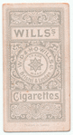 Miss C. Collier.