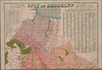 Colton's new indexed map of the city of Brooklyn