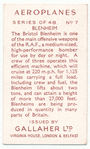 Blenheim.