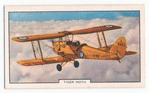 Tiger Moth.