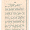 Percival 'Gull' (Great Britain).