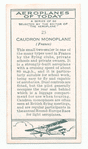 Caudron Monoplane (France).