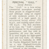 Percival 'Gull'.