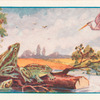 The frogs ask for a king.
