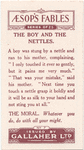 The boy and the nettles.