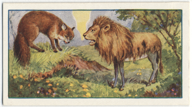 The Ass In The Lions Skin Nypl Digital Collections 