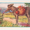 The ass eating thistles.