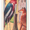 The fox and the stork.