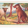 The wolf and the lamb.
