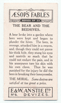 The bear and the beehives.