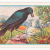 The crow and the pitcher.