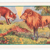 The ass in the lion's skin.