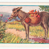 The ass eating thistles.