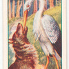 The wolf  and the crane.