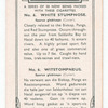 White Stumpnose.