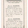 Jacopever.