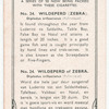 Wildeperd (Zebra).